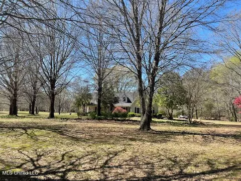 View/Area - 3601 Sherrod Dr, Nesbit, MS 38651 photo 1 of 6