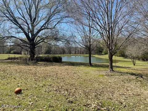 Other - 3601 Sherrod Dr, Nesbit, MS 38651 photo 2 of 10