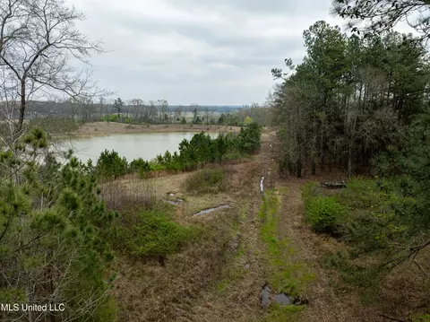 560 N Malone, Hernando, MS 38632 photo 10