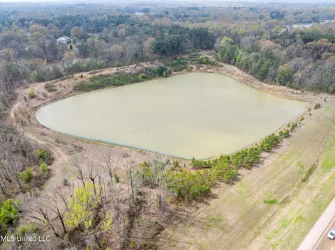 560 N Malone, Hernando, MS 38632 photo 8