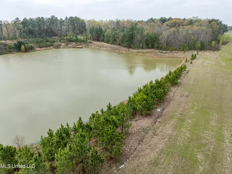560 N Malone, Hernando, MS 38632 photo 9