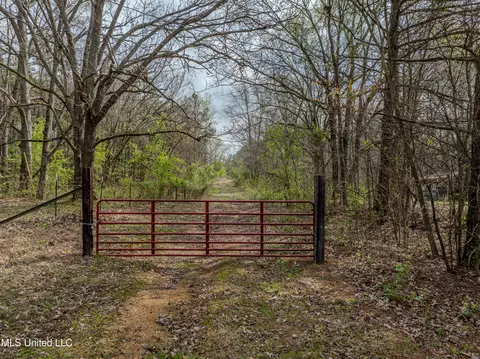 560 N Malone, Hernando, MS 38632 photo 2