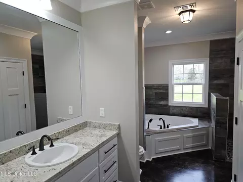 Bath - 227 Middle Rd, Flora, MS 39071 photo 1 of 8