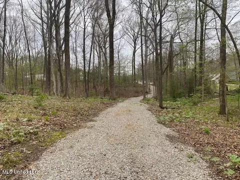 0 Wanda Faye Dr, Nesbit, MS 38651 photo 2