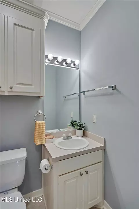Bath - 398 Pecan Cir, Brandon, MS 39042 photo 3 of 3