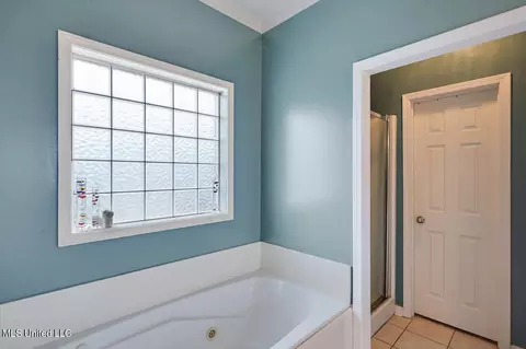 Bath - 398 Pecan Cir, Brandon, MS 39042 photo 2 of 3