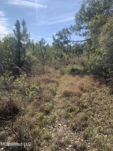 00 Rayford Shumock Rd, Moss Point, MS 39562 photo 3