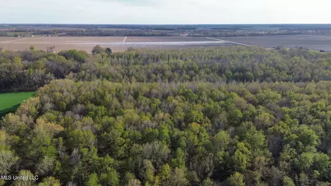 2274 Sawmill Rd, Shaw, MS 38773 photo 2