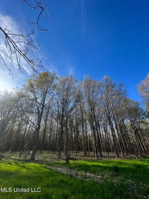 2274 Sawmill Rd, Shaw, MS 38773 photo 8