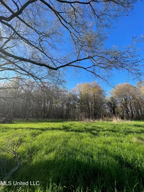 2274 Sawmill Rd, Shaw, MS 38773 photo 6
