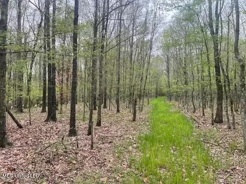 County Road 523, Schlater, MS 38952 photo 2
