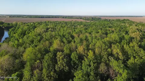 County Road 523, Schlater, MS 38952 photo 14