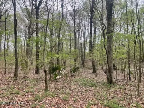 County Road 523, Schlater, MS 38952 photo 5