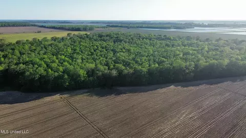 County Road 523, Schlater, MS 38952 photo 23