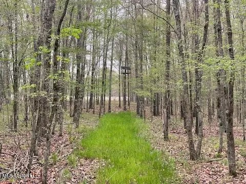 County Road 523, Schlater, MS 38952