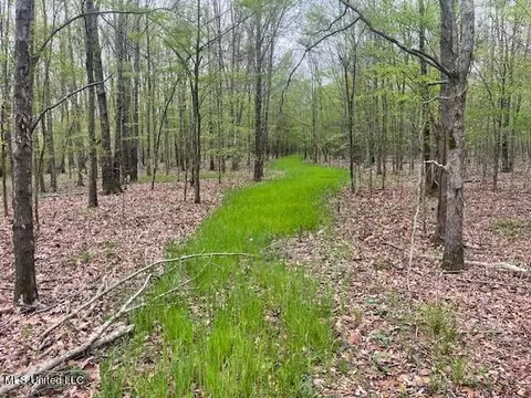 County Road 523, Schlater, MS 38952 photo 3