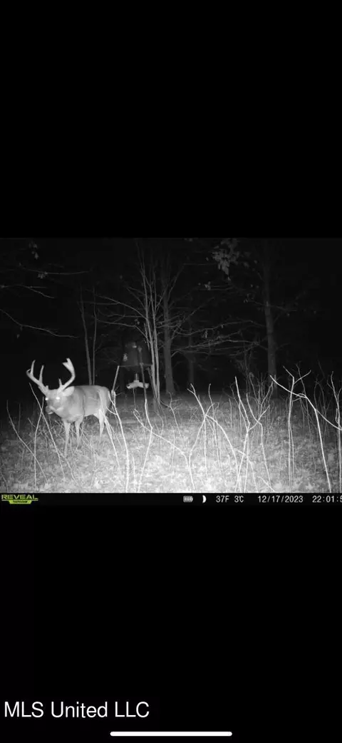 County Road 523, Schlater, MS 38952 photo 29