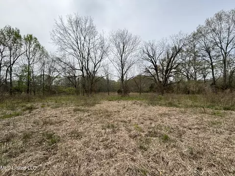 Pinehaven Drive, Jackson, MS 39209 photo 3