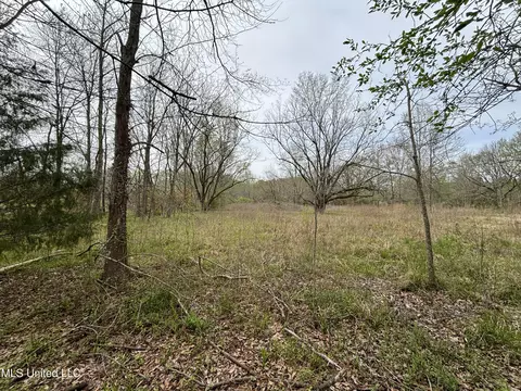 Pinehaven Drive, Jackson, MS 39209 photo 2