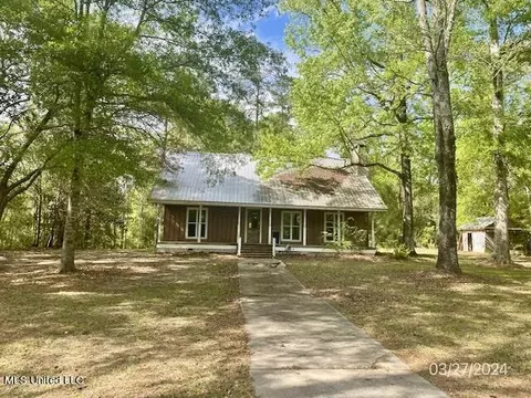 45 Fritz Whitfield Rd, Picayune, MS 39466