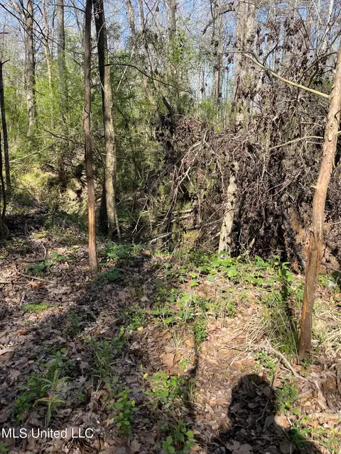 Hwy 43, Canton, MS 39046 photo 8