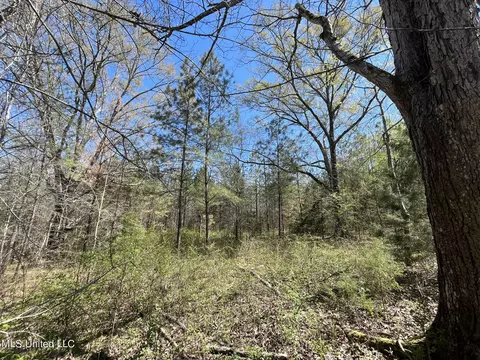 Hwy 43, Canton, MS 39046 photo 6