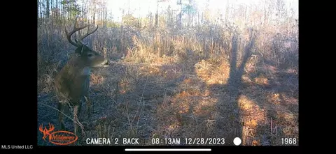 Hwy 43, Canton, MS 39046 photo 33
