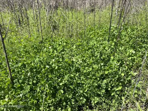 Hwy 43, Canton, MS 39046 photo 31