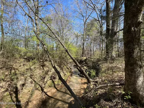Hwy 43, Canton, MS 39046 photo 7