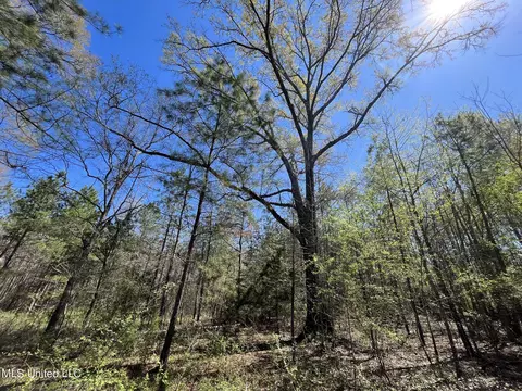 Hwy 43, Canton, MS 39046 photo 2
