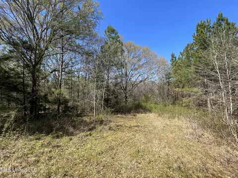 Hwy 43, Canton, MS 39046 photo 30