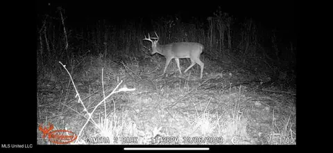 Hwy 43, Canton, MS 39046 photo 39
