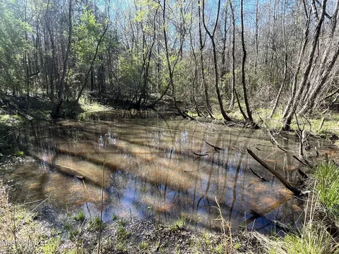 Hwy 43, Canton, MS 39046 photo 10