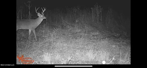 Hwy 43, Canton, MS 39046 photo 36