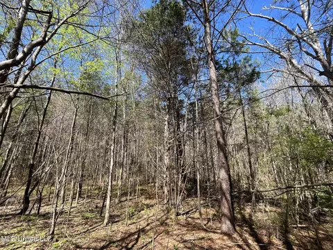 Hwy 43, Canton, MS 39046 photo 19