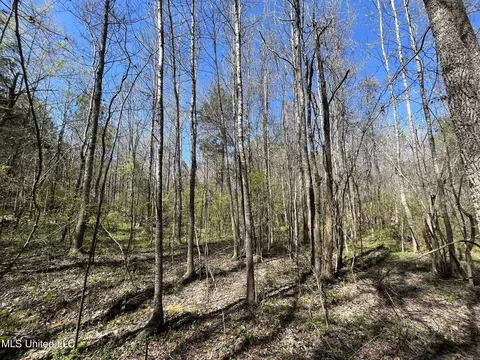 Hwy 43, Canton, MS 39046 photo 20