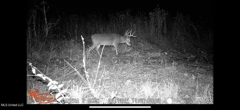 Hwy 43, Canton, MS 39046 photo 37