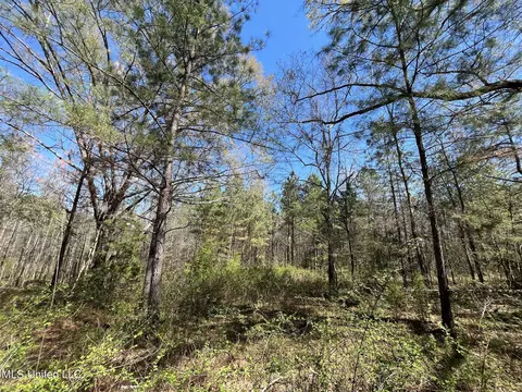 Hwy 43, Canton, MS 39046 photo 22