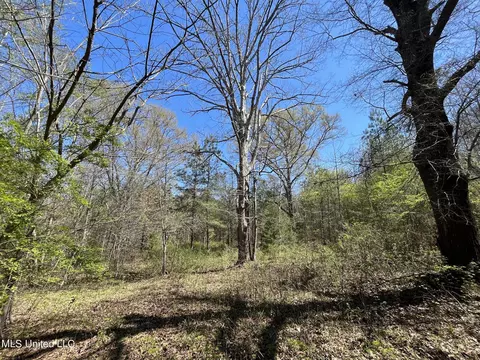 Hwy 43, Canton, MS 39046 photo 5