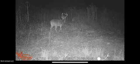 Hwy 43, Canton, MS 39046 photo 35