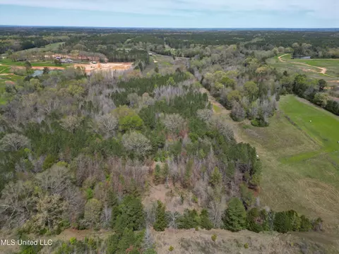 Hwy 43, Canton, MS 39046 photo 43