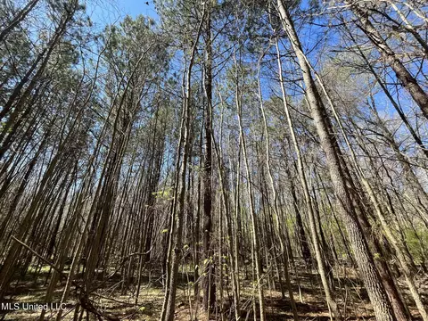 Hwy 43, Canton, MS 39046 photo 16