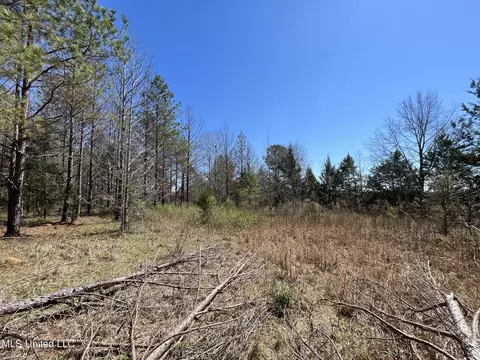 Hwy 43, Canton, MS 39046 photo 27