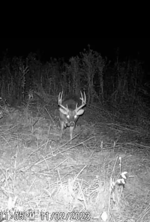 Hwy 43, Canton, MS 39046 photo 38