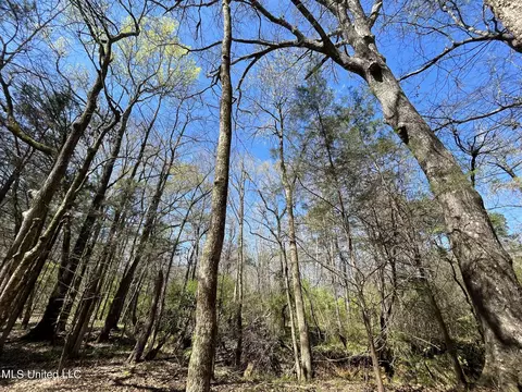Hwy 43, Canton, MS 39046 photo 13