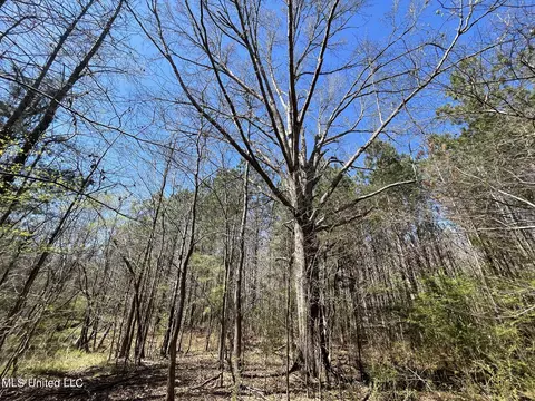 Hwy 43, Canton, MS 39046 photo 17