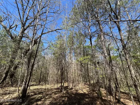 Hwy 43, Canton, MS 39046 photo 24