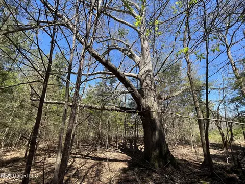 Hwy 43, Canton, MS 39046 photo 29