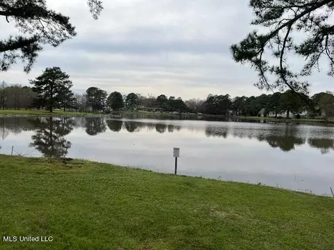 View/Area - 171 Lakebend Cir #171, Brandon, MS 39042 photo 3 of 3