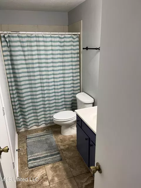 Bath - 171 Lakebend Cir #171, Brandon, MS 39042 photo 1 of 2
